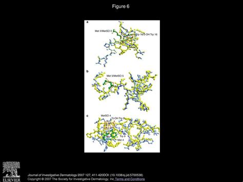 Oxidative Stress Via Hydrogen Peroxide Affects Proopiomelanocortin ...
