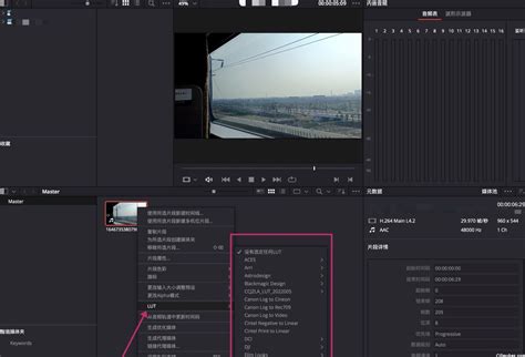 Luts Lut Fcpx Pr Ae Ps Davinci