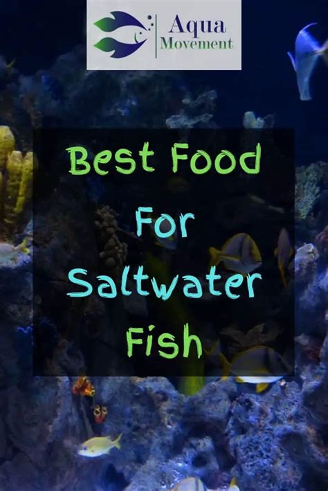 Best Saltwater Fish Food - Top 7 Review | Aqua Movement