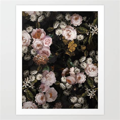 Antique Botanical Roses And Chamomile Midnight Garden Art Print By