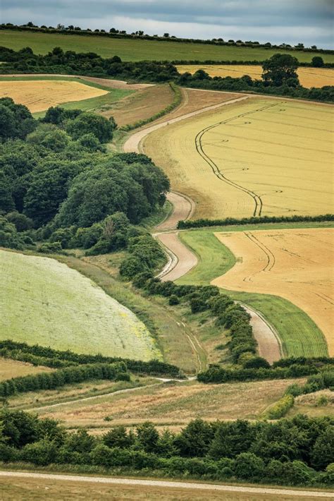 Saving The Curlew How The Duke Of Norfolk Is Joining Efforts To Bring