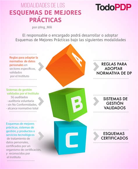 Tipos De Esquemas De Mejores Pr Cticas Todopdp Todopdp