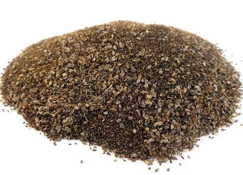 Семена подорожника – лечебные свойства