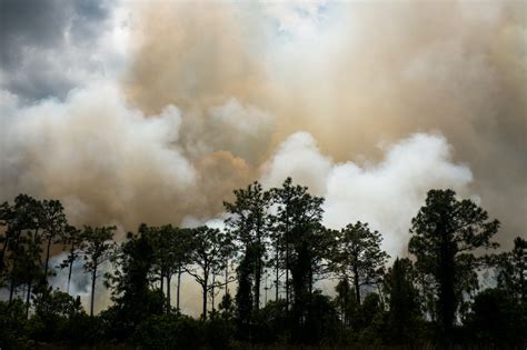 How to Prepare for a Wildfire Evacuation - RMC