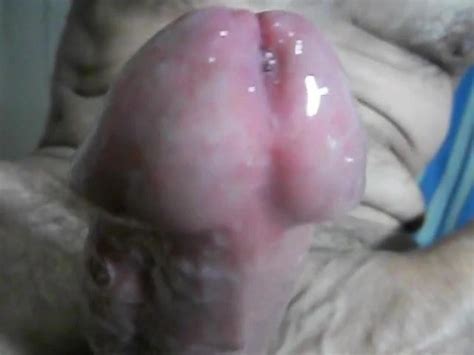 Verga Comilona Gay Man Porn XHamster