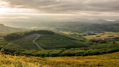 Neath Port Talbot Council