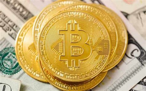 Índice de Medo e Ganância de Bitcoin o que é e como funciona