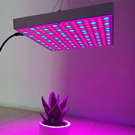 Led Grow Light 14w Red Blue Full Spectrum Led Plant Grow Light Hydroponics Flower Seed Indoor At