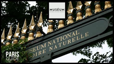 Mus Um National Dhistoire Naturelle Paris Guide