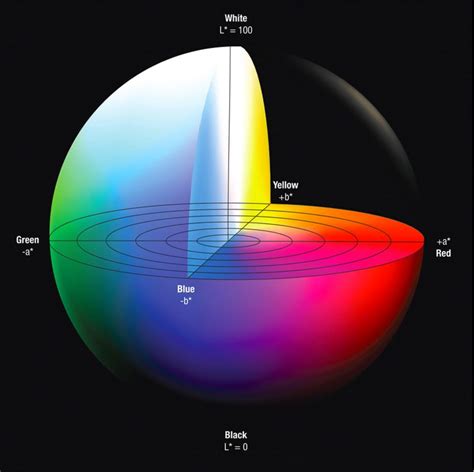 Color Theory In Your Branding Pacmin Studios