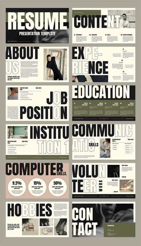 Digital Cv Resume Presentation Template For Adobe Indesign