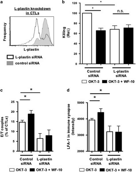 L Plastin Is Important For Ctl Mediated Target Cell Killing A The