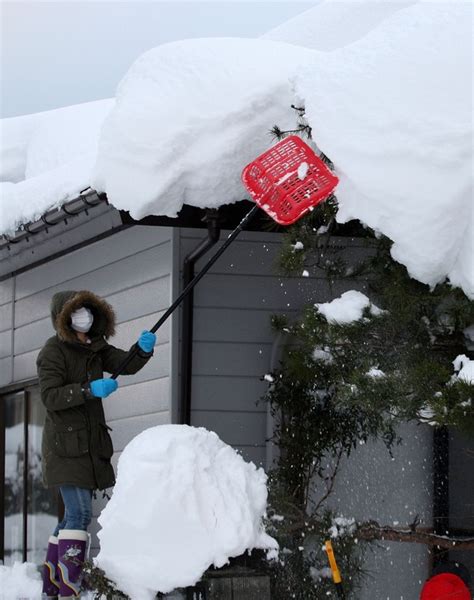 福井県私立高校5校、一般入試を再々延期215実施 リセマム