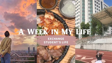 Study Abroad In Korea 🇰🇷 Vlog 2 A Week In My Life As An Exchange