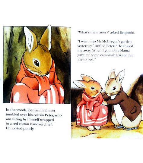 The Benjamin Bunny The World Of Peter Rabbit And Friends 9780721415185