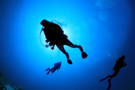 Scuba Divers Stock Image Image Of Three Backlit Scuba 19413271