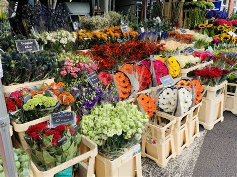 Fresh Flowers on Display To Be Sold at the Columbia Flower Market in ...