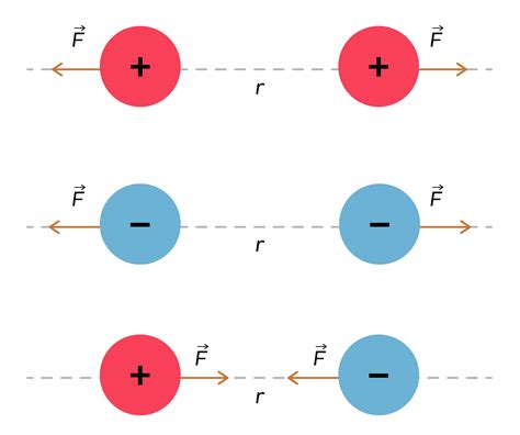 Legge Di Coulomb Fisica Spiegazioni Ed Esercizi Evulpo