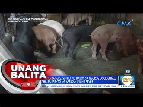 Associations Of Hog Raisers Supply Ng Baboy Sa Negros Occidental