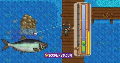 How to Catch Stardew Valley Herring Fish, Location, Difficulty, Seasons ...