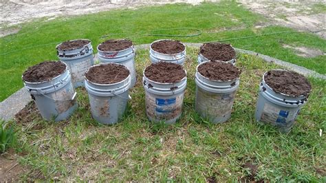 Planting Potatoes In A Bucket Youtube