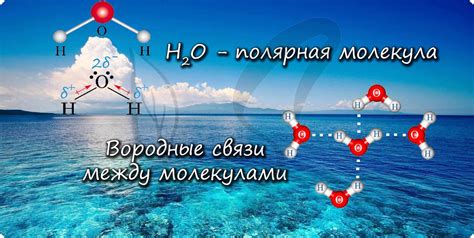 Неорганические и органические вещества клетки, подготовка к ЕГЭ по биологии