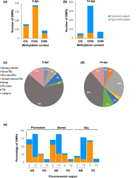 Distribution Of Differentially Methylated Regions DMRs Methylation