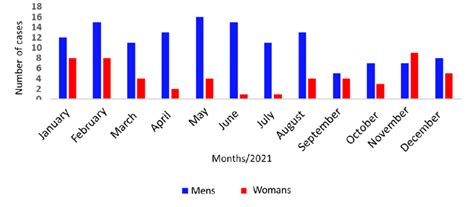 Number Of Cases Per Month Of Icu Patients Divided By Sex In The Year