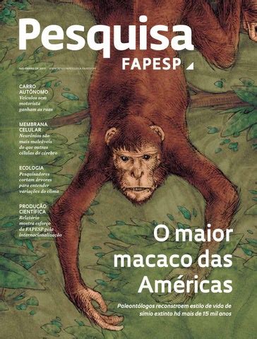 Pesquisa Fapesp By Pesquisa Fapesp Issuu