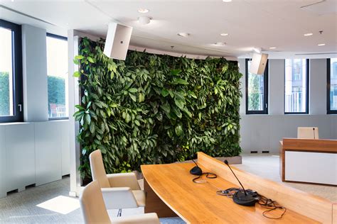 Can Plantscaping Cure the Ills of the Open Office?