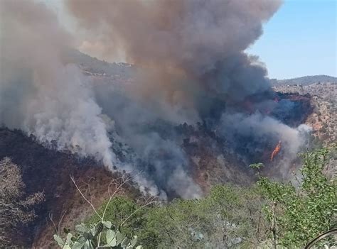 EN LABORES COORDINADAS CEPCQ Y CUERPOS DE EMERGENCIA ATIENDEN INCENDIO