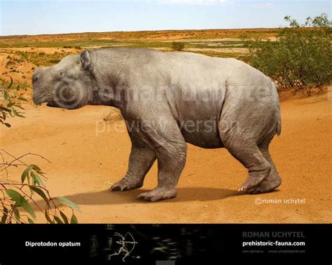 Diprotodon Facts And Pictures