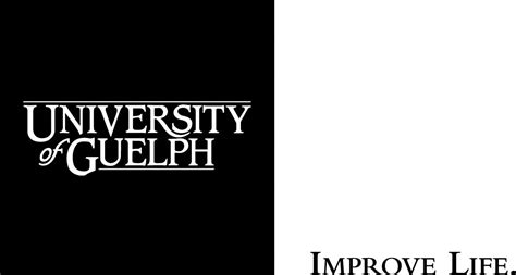 University Of Guelph English Language Programs