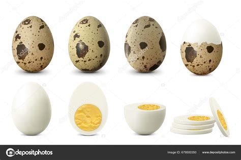 Boiled Quail Egg Eggs Isolated White Background Textured Whole Cracked