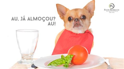 Até O Doguinho Tá Ligado Que Uma Refeição Saudável é Essencial 🥦🥕