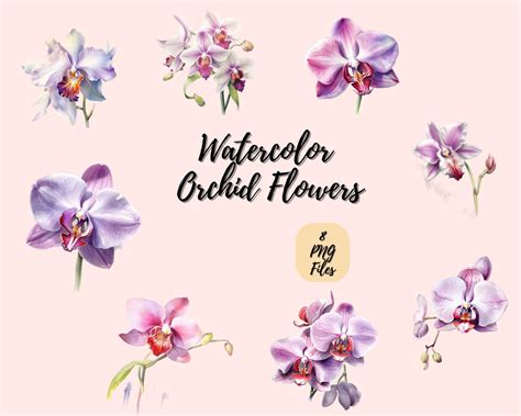 Watercolor Orchid Digital Download Wall Art Watercolor Clipart Flower ...