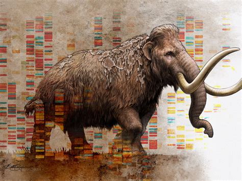 Nobel Prize Museum | DNA reveals the history of the mammoth