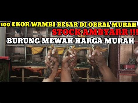 MASIH DIJALUR PROMO STOCK FULL BELI ECER HARGA GROSIR BERLAKU SEMUA