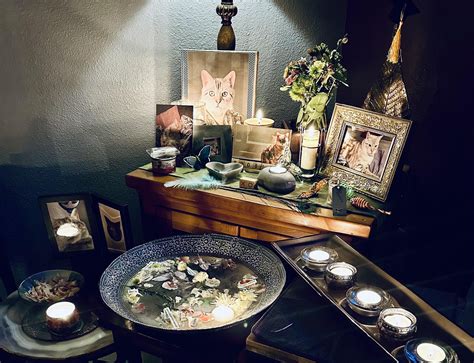 A Pet Memorial Ceremony for a Beloved Cat - Be Ceremonial