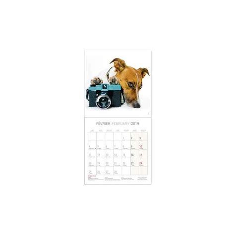 Stock Bureau BOUCHUT Calendrier illustré année civile Vie de Chien