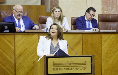 El Parlamento convalida el tercer decreto de sequía de la Junta sin