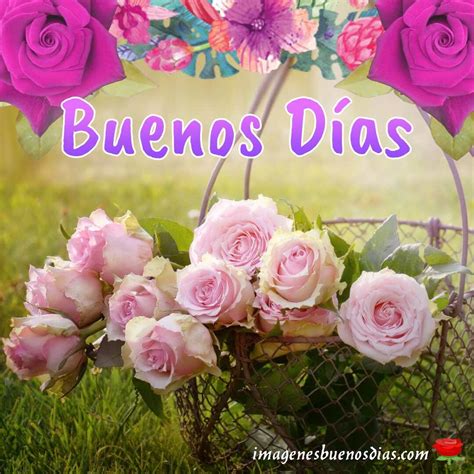 imágenes buenos días con flores » Imágenes Buenos Días