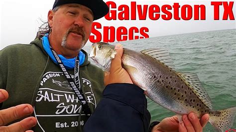 Fishing Galveston Texas With Cody Dunn For Winter Speckled Trout Youtube