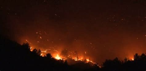 New fires in heat-hit Greece force evacuations - Insider Paper