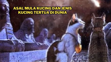 INILAH ASAL MULA KUCING DAN JENIS KUCING TERTUA DI DUNIA YouTube