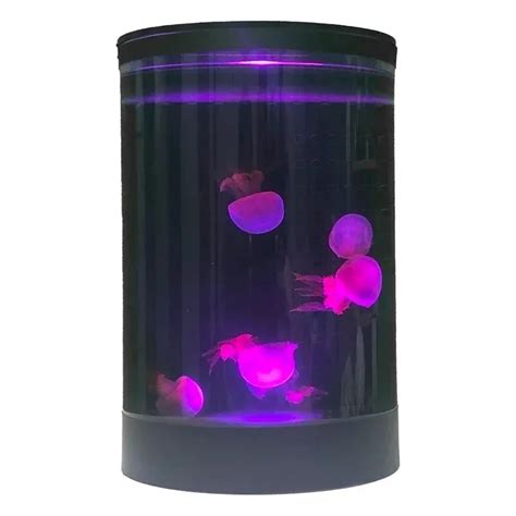 Mini Acuario De Medusas De Acr Lico De Estilo Peque O De Escritorio