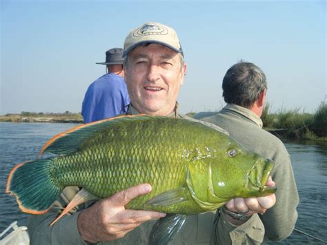 Zambezi River Fishing (Where to go & What to expect)