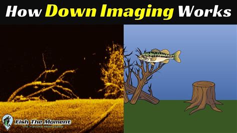 The Last Down Imaging Explanation You Will Ever Need Fish Finder