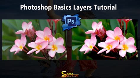 Photoshop Basics Layers Tutorial Photoshop Basics Photoshop Tutorial