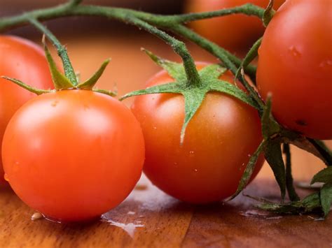 World S Most Expensive Tomato Seeds Cost Rs 3 Crore Per Kg